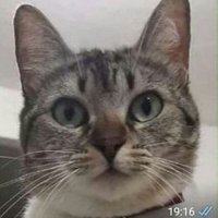 Dr. Dounin H (@drdounin09) 's Twitter Profile