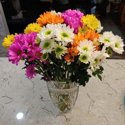 Leigh3142's profile picture. Live life simply