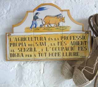 juliki5's profile picture. 