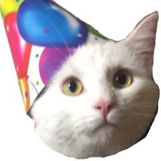 ShiroSoftware's profile picture. 