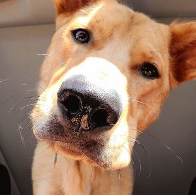 RioDante_'s profile picture. 