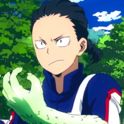 Hello, I’m Hiryu Rin, I’m 5’7 tall, my quirk is scales. I’m a student in U.A High School class 1B.