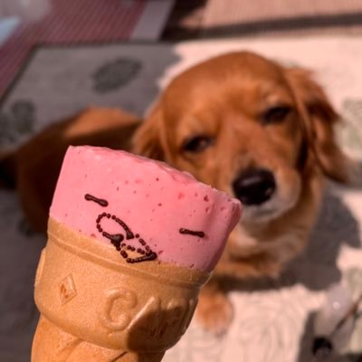 Kilimanjaro_c's profile picture. 音楽好き/看護師