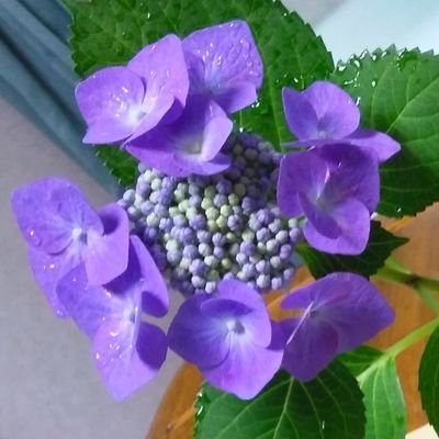 laoirakunolian's profile picture. あさが来たからの大ファンです。Twitterの操作がいまいちわかりません。間違い、失礼有りましたらお詫びします🙇
ファムッ子さんたちとの繋がり
楽しいです❤️👌
これからもデイーンさん💓
一筋❗️