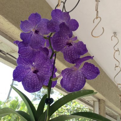 BlueWaveNov's profile picture. 🇺🇸🇺🇦   When you’re accustomed to privilege, equality seems like oppression.