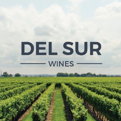 Delsurwines's profile picture. 🍷 Tienda online de vinos.
🚚 Envíos gratis a CABA y GBA (Desde $1.500)