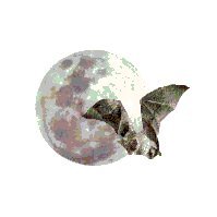 Moonbattery (@moonbattery1) 's Twitter Profile