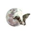 Moonbattery (@Moonbattery1) Twitter profile photo