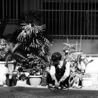 Kou Miyamoto (@non_miya_chan) 's Twitter Profile Photo Kou Miyamoto (@non_miya_chan) 's Twitter Profile Photo