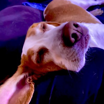 MikeTechsitOut's profile picture. This is where you can stay up on all of the content from the Mike techs it Out YouTube channel!