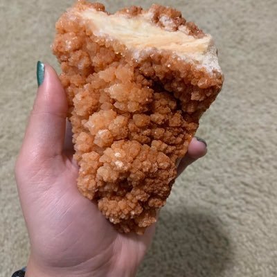 trackbik's profile picture. bike