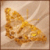 independent webstuff contractor, writer, mensan, liberal, diabetic