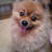 naho0238's profile image