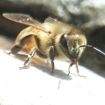 gabochaping's profile picture. 