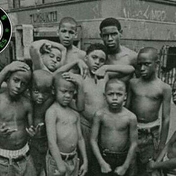 cannabismal's profile picture. G O B A S S