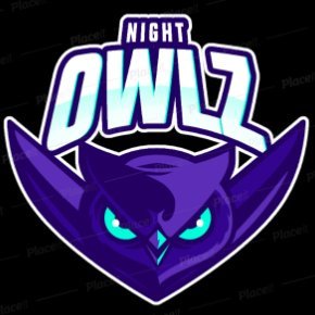 NightOwlzGaming Profile Picture