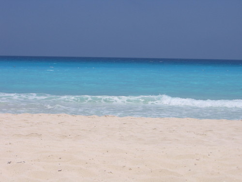 CarnoustieLane's profile picture. Transformimg my house into the modern world: https://t.co/vE8sXHELHJ.