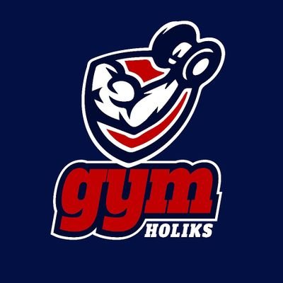 Gym Holiks Sports Ltd