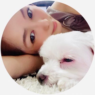 のんびりちゃん ズボラ私がyoutuber マロンちゃんおやつを一生懸命に隠してるつもり マルチーズ ミニチュアピンシャー おやつを隠す犬 犬 面白い犬