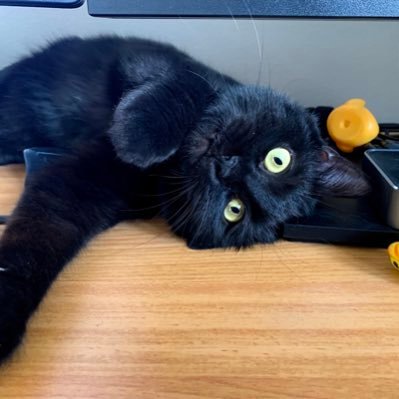 Eladlad's profile picture. 