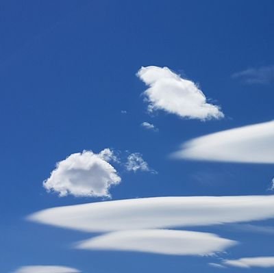 I am drowning in a pool of anger with our dysfunctional government, leavened only by clouds and dogs