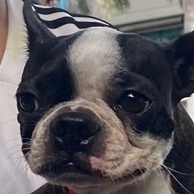 PachMateo's profile picture. 