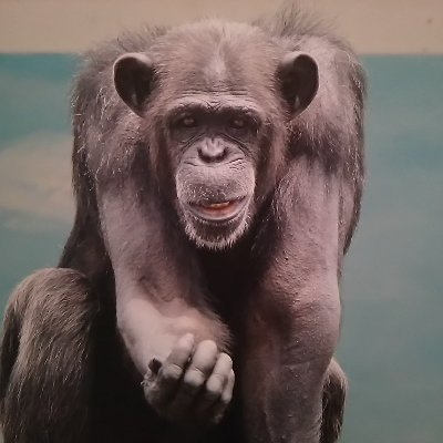 テキトーに生きる Ushr Zywz Twitter