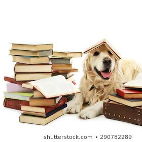 International teacher: likes tech, books, dogs.
🏴󠁧󠁢󠁥󠁮󠁧󠁿 🇰🇾 🇰🇪 🇧🇳 🇬🇬 🇰🇪 
RE  PSHE ToK English
MIE EXPERT 2022-2023, 2021-2022, 2020-2021 & MCE
