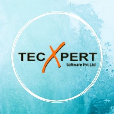 TecxpertL's profile picture. Tecxpert Software Pvt. Ltd. Is a professional IT services company located in Noida, India.