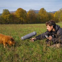 Maxime Garcia (@_maximegarcia) 's Twitter Profile