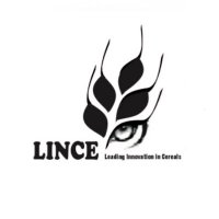 LINCE(@lince_research) 's Twitter Profile Photo