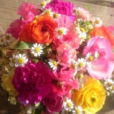 chocoaisuhappy's profile picture. 2人の子供🎁2匹のワンコ🐶🐶自分の人生を楽しむ😊人との繋がりご縁に感謝🌟笑顔🌟毎日を心穏やかに過ごす🌟「今」に集中🌟本が好き📚お気に入りは天文館図書館🌟 ※マッチングや副業のDMお断り！