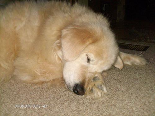 Workuntil's profile picture. 