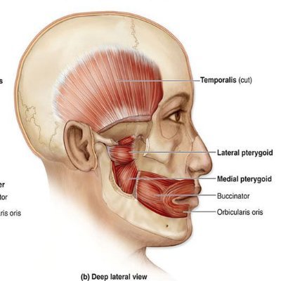 ola_bcn's profile picture. 