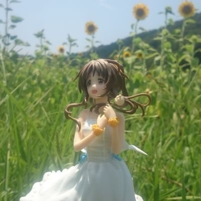 sazanami389's profile picture. 音ゲーと温泉むすめとカードゲーム