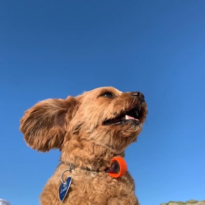 charley0504's profile picture. Small c Conservative, enjoying the views of others. British by birth living in Oz.