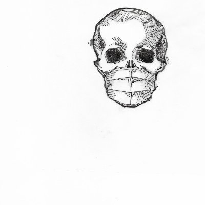 KevinK12272381's profile picture. FOTUS author Kevin Kunundrum here in this place of infinite noise. TWITTER is like the bombing of Dresden, but constantly, forever.