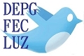 DEPG FEC LUZ Profile