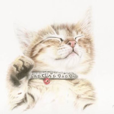 iwa32565393's profile picture. 野良猫🐈 餌は与えられるのではなく、自分で獲りにいきたい。知らない世界の話を聞くのが好き