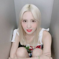 once🍭 Ayaka 🍑 (@ayaka88069327) Twitter profile photo