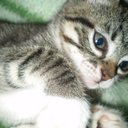 Cynthia Moon - @Suidorime - Twitter