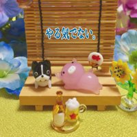 とんかつ (@tonkatsu_dm) Twitter profile photo
