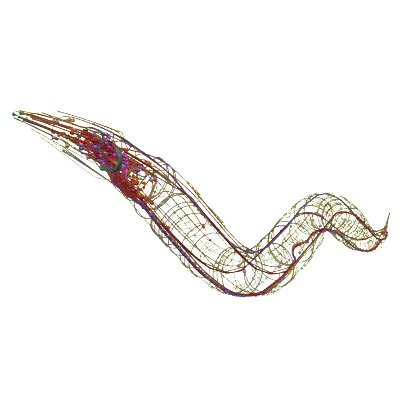 Postdoctoral associate at Yale University, C. elegans transcriptomics