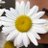 PelfreyBobbie's profile image
