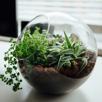 LorenaAndreaV's profile picture. Por muy larga que sea la tormenta... EL sol vuelve a brillar entre las nubes ...