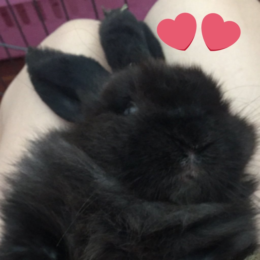 ItisalwaysOk's profile picture. 