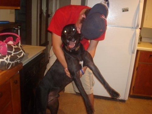 Kanger_Banger's profile picture. 