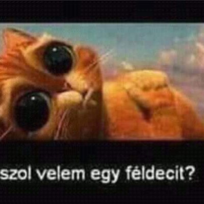 SiposFerenc20's profile picture. 