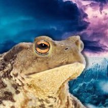 かえる🐸さんのプロフィール画像