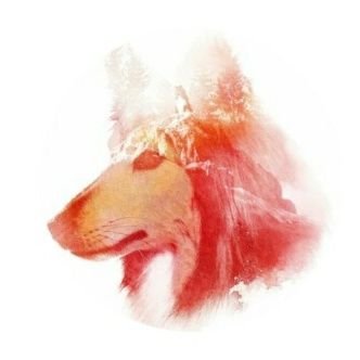 joshwal82251728's profile picture. .